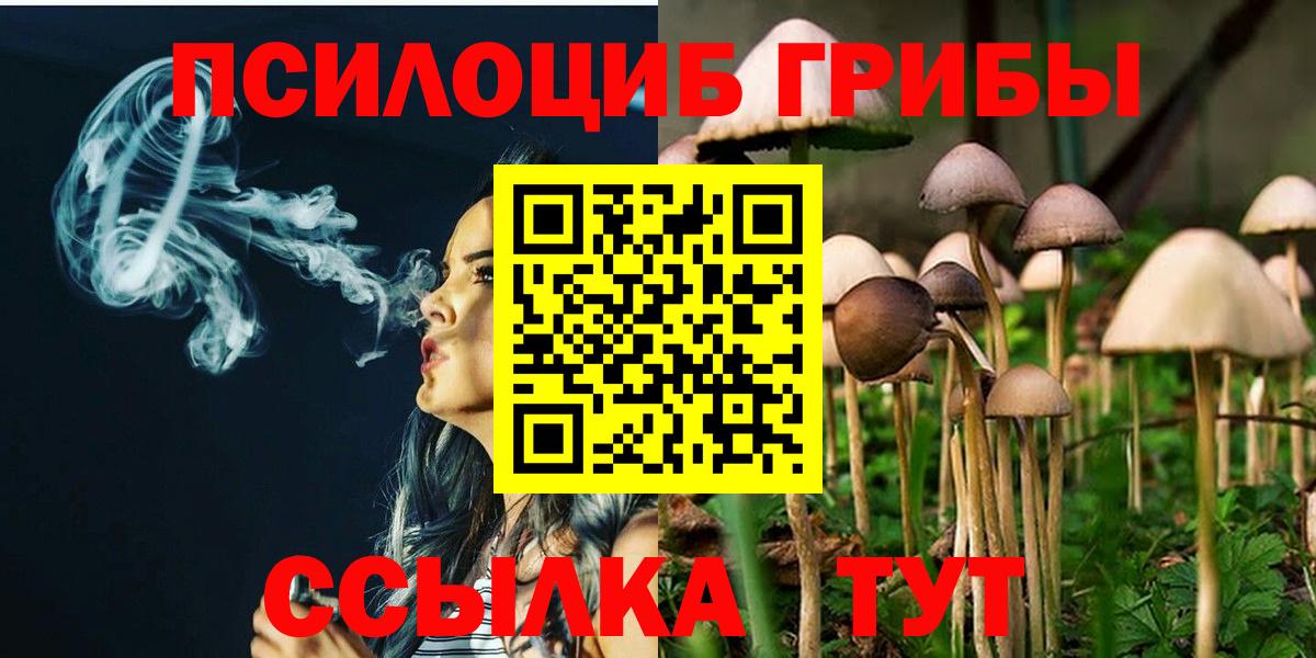 Углич  Галлюциногенные грибы Psilocybe  Вход с VPN 